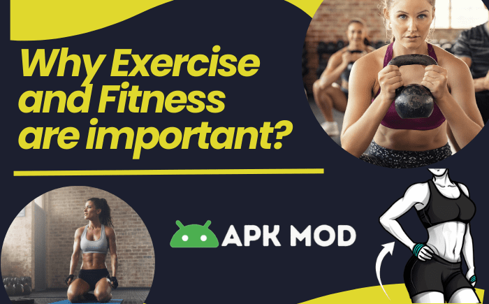 workout for women premium mod apk